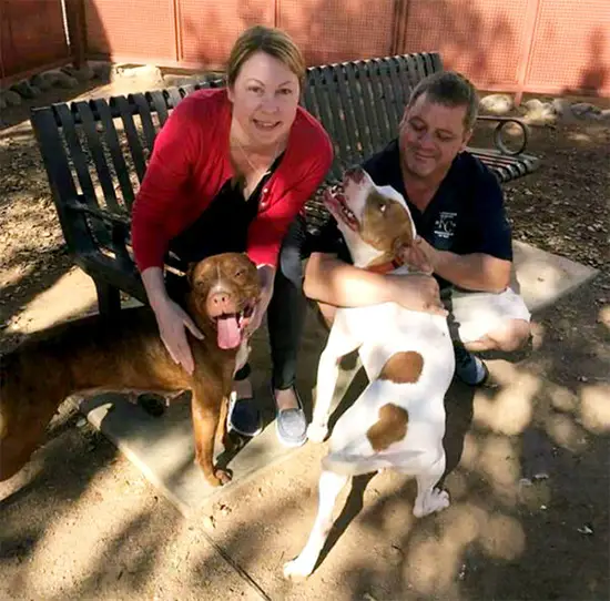 The family and dogs behind Green Can Dumpster Rentals, a local family-owned business serving Litchfield Park and the West Valley.